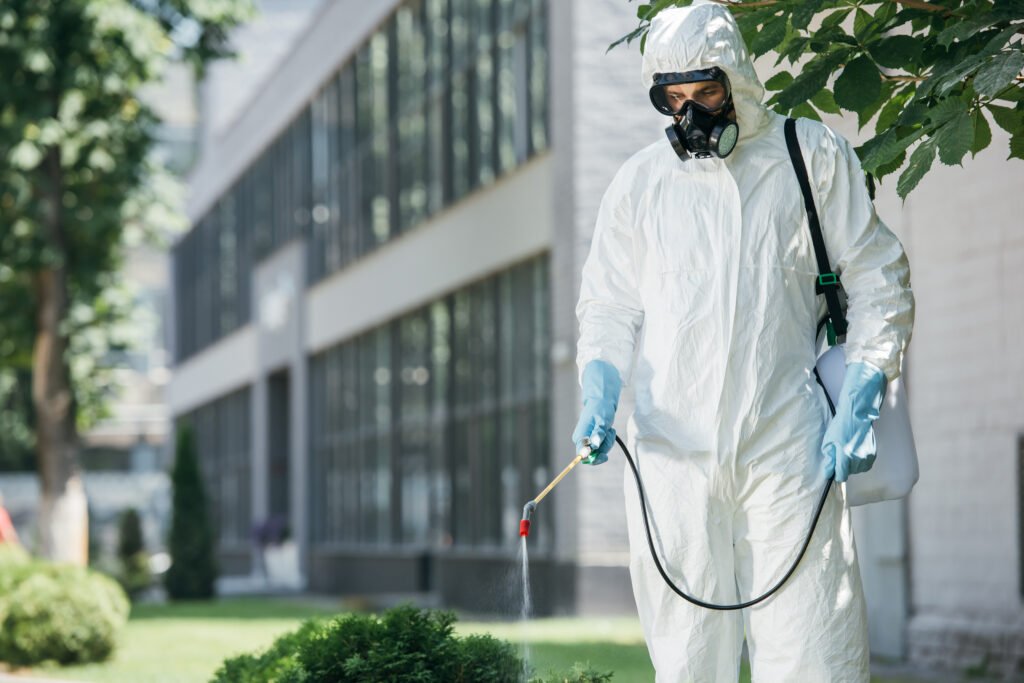 How to avoid the high cost of pest control?