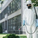 How to avoid the high cost of pest control?