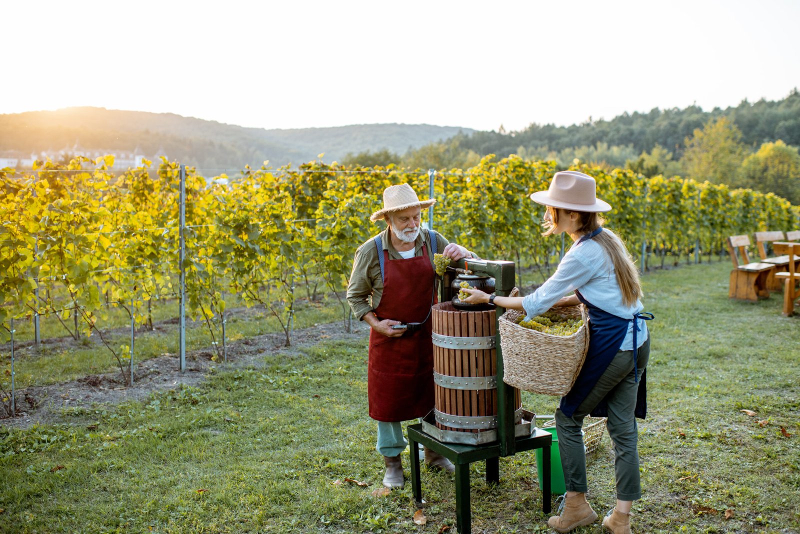 A Beginner’s Guide to Ordering Wine Online in Ireland.