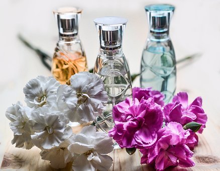 What are the key fragrance notes and lasting power of Shanaya perfume?