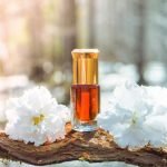 When to Explore Unique Attar Blends: Seasonal Fragrance Transitions