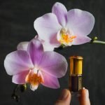 What Makes Premium Attar Stand Out from Conventional Perfumes?