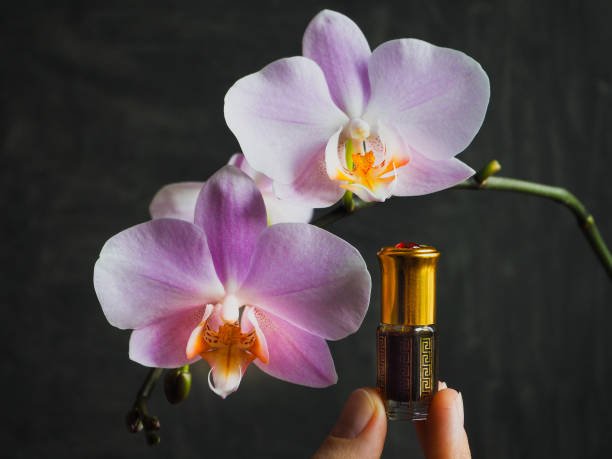 What Makes Premium Attar Stand Out from Conventional Perfumes?