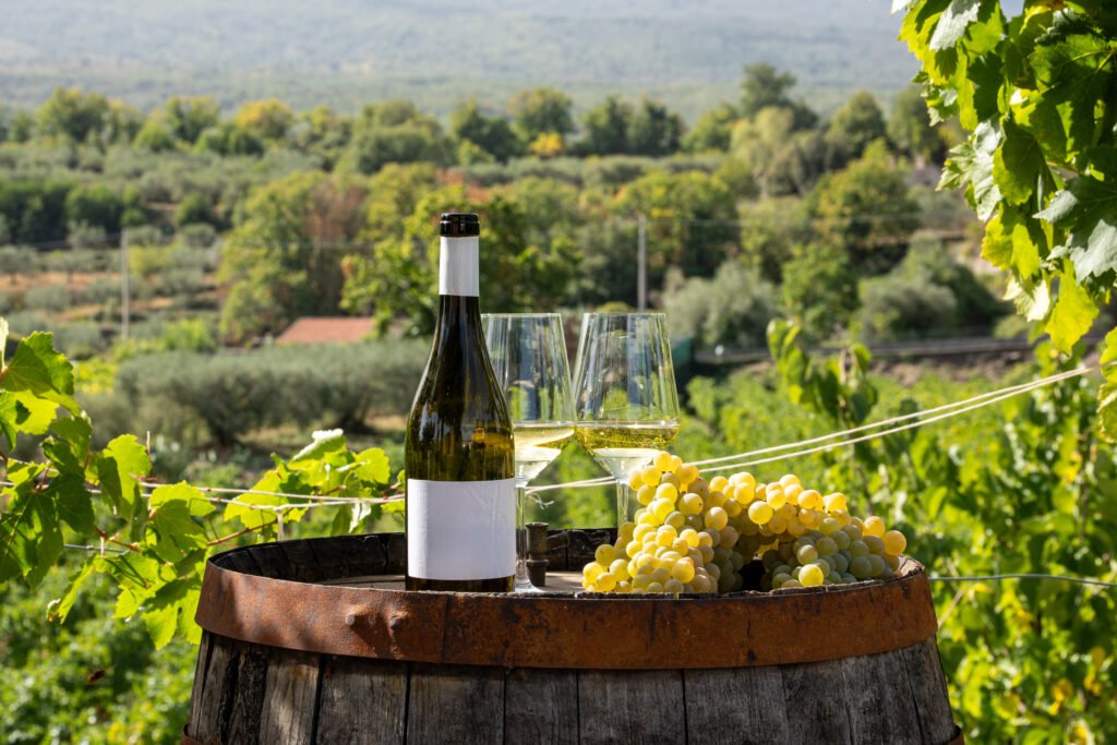italian wine